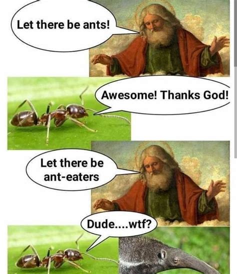 The best ants memes :) Memedroid