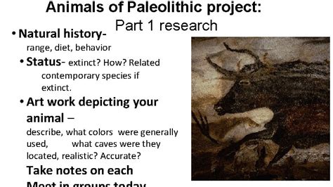 Animals of Paleolithic project Part 1 research Natural