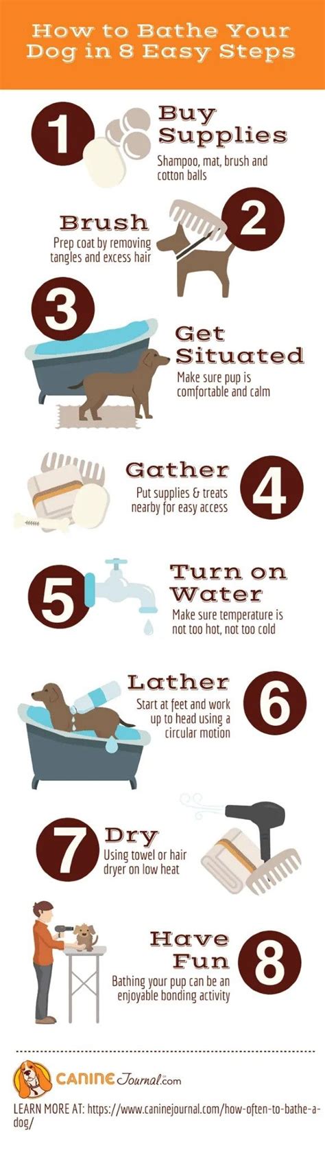 Pin by Sheila Geary on dogs | Dog grooming tips, Dog grooming, Dog ...