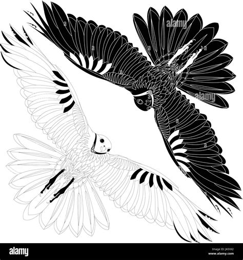 Eagle flying on white background illustration Stock Vector Image & Art ...