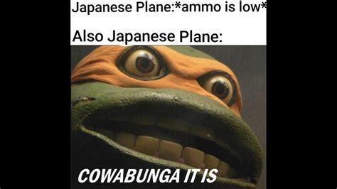 Cowabunga it is : r/HistoryMemes