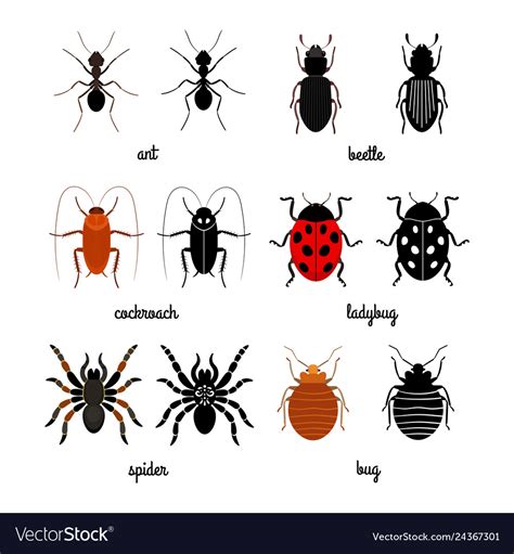 Crawling insects set - ant spider beetle Vector Image