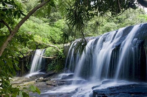 Iriomote Island ( Iriomotejima ) – Okinawa – Japan Resort Club