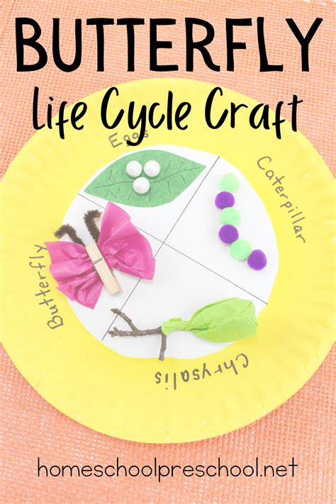 Butterfly Life Cycle Craft With Free Template The Best Ideas For Kids – NBKomputer