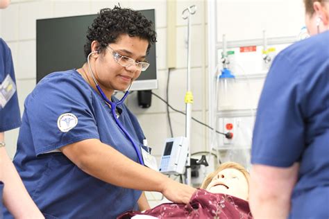 NCCC Nursing Licensures Exceed State and National Rates - Niagara ...