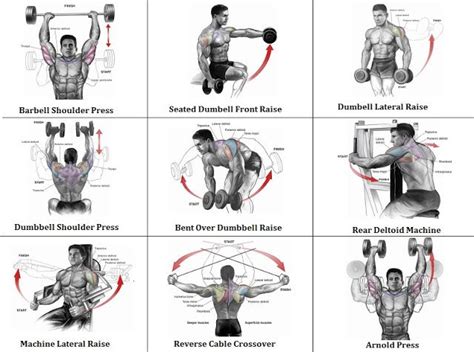 Pin on Gym workout chart