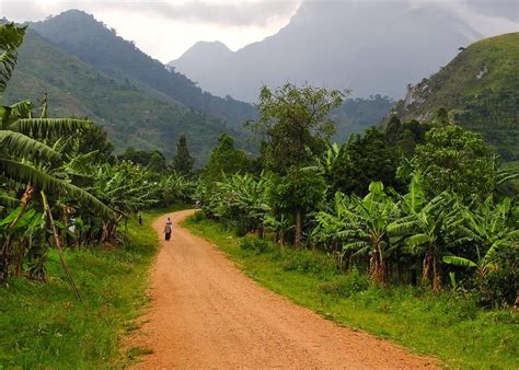 Uganda Climate Guide: Best Time to Visit (Weather, Rain & Temp by Month ...