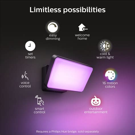 Philips Hue Discover Black Exterior Smart Flood Light | Bunnings Warehouse