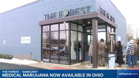 Ohio’s first medical marijuana dispensaries open | thcscout.com