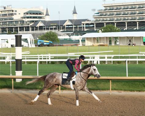 2023 Belmont Stakes Odds, Picks, Post Positions: Tapit Trice | Horse ...