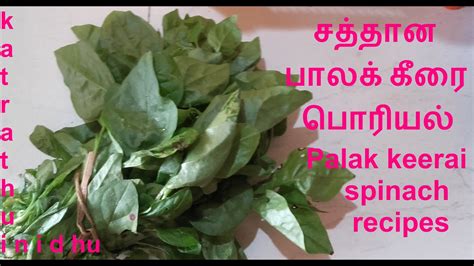 'கம கம சமையல்' சத்தான பாலக் கீரை பொரியல்/Palak keerai /spinach recipes ...