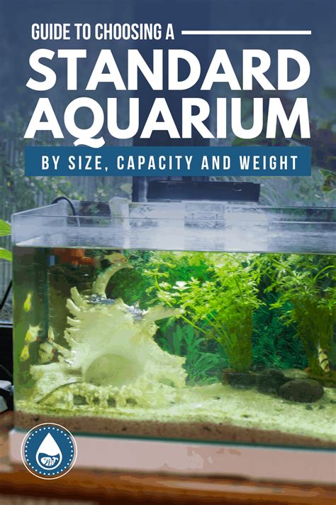 Standard Aquarium Dimensions, Sizes And Weights