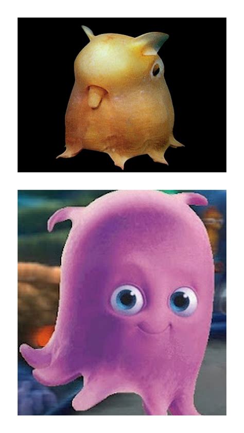 Pearl, from Finding Nemo, was modeled after the actual Flapjack Octopus ...