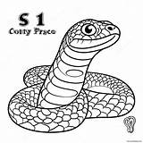 Realistic Snake Coloring Page 4690 3734 sketch template