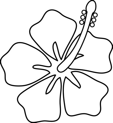 Bunga Raya Png Hibiscus Flower Line Art Free Clip Art - vrogue.co