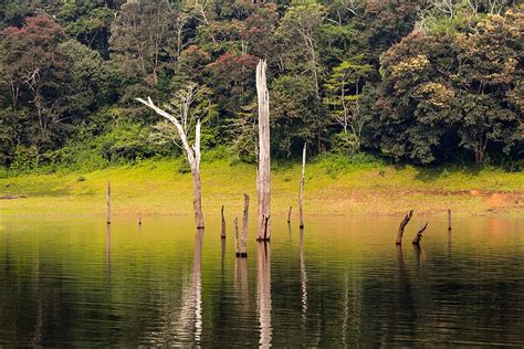 Idukki 1080P, 2K, 4K, 5K HD wallpapers free download | Wallpaper Flare