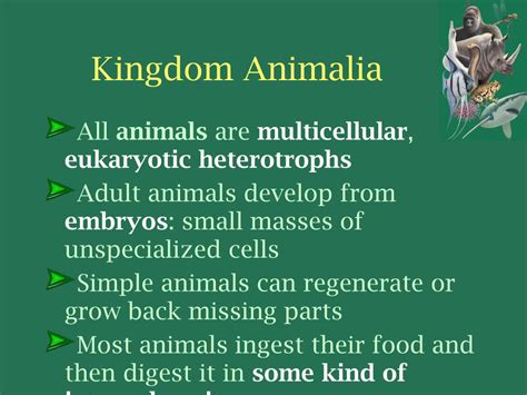 PPT - KINGDOM ANIMALIA General Characteristics of Animals PowerPoint ...