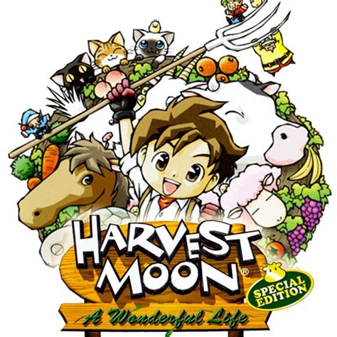 Harvest Moon: A Wonderful Life (Special Edition) (2005) box cover art - MobyGames