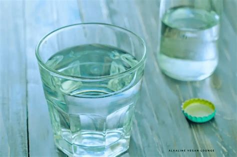 What Is Vegan Water - What You Need To Know - Food Sense