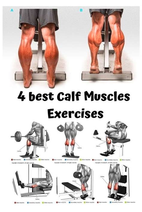 Calf Muscle Exercises