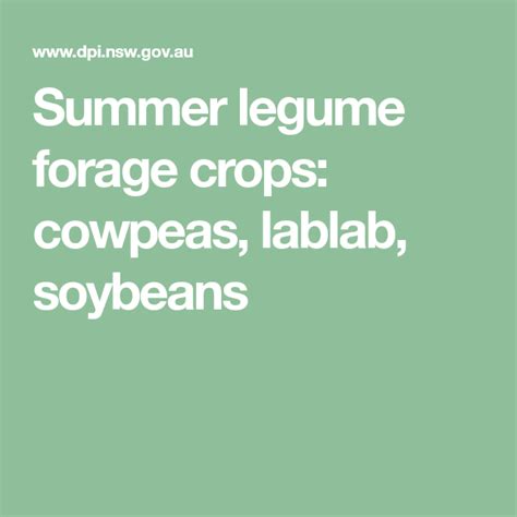 Summer legume forage crops: cowpeas, lablab, soybeans | Forage crops ...