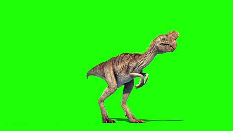 Oviraptor image - Free stock photo - Public Domain photo - CC0 Images