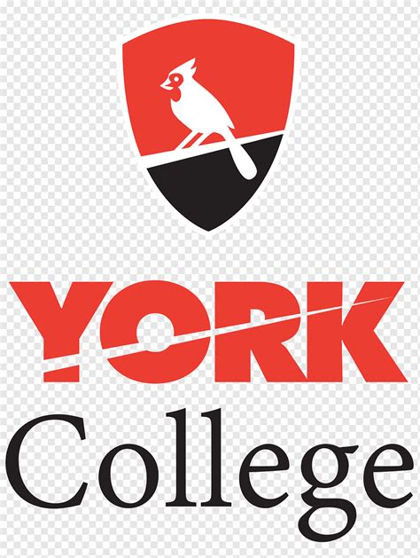 York College, City University of Nova York City College de Nova York Brooklyn College Borough of ...