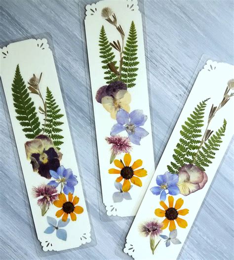 Dried Flower Bookmarks - ver-ver-pelicula-popular