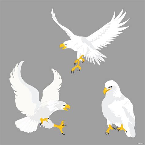 White Eagle Vector in Illustrator, JPG, SVG, EPS, PNG - Download ...