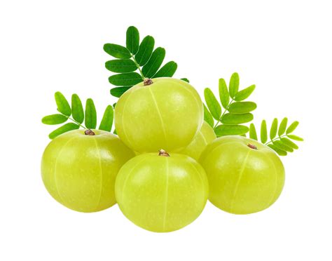 amla png transparent background 29228730 PNG