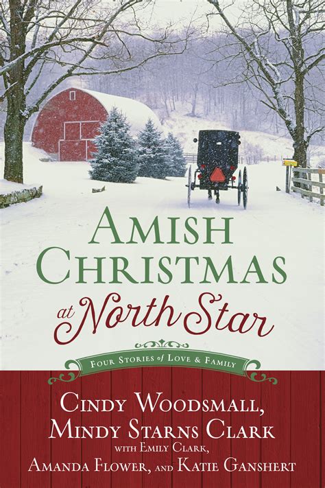 Amish Christmas at North Star - Website of NYT best-selling Amish fiction