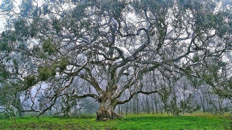 Woodlands Historic Park