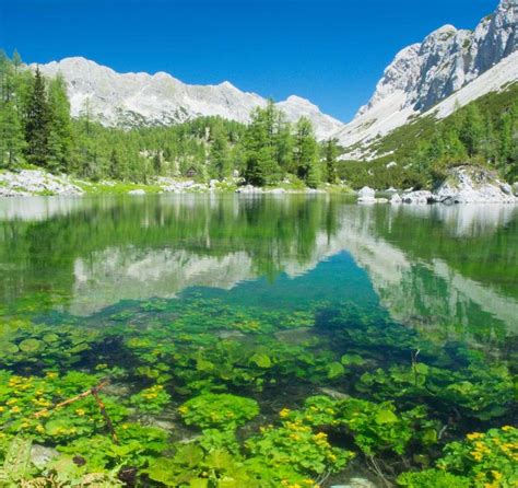 Triglav National Park Hiking | Best and most popular tours | Climb Triglav