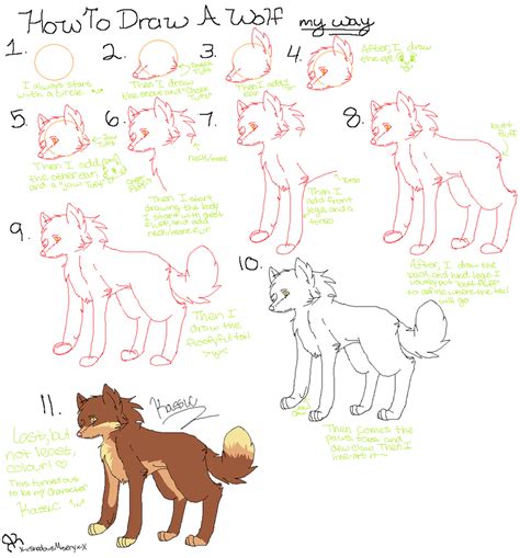 Ku's Wolf Drawing Tutorial 1 by X-xShadowsMiseryx-X on DeviantArt