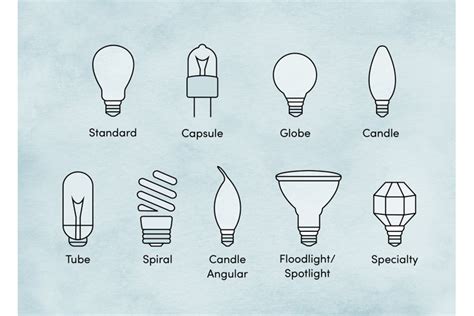 Types of Lightbulbs: How to Choose the Right One | Wayfair