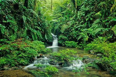 Other | Waterfall, Braulio Carrillo National Park, Costa Rica ...