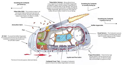 Anatomy of a Centipede by BlackPanzerDragon on DeviantArt