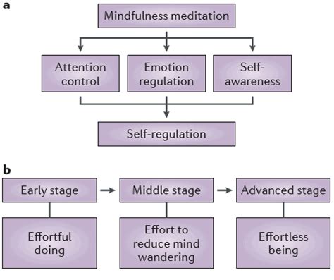 The Positive Effects Of Meditation That Are Proven By Science – Inspiyr.com