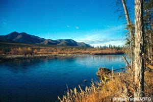 Rivers and Lakes, Alaska Department of Fish and Game