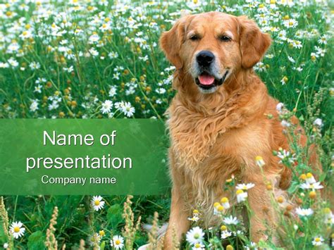 Animal Powerpoint Templates - prntbl.concejomunicipaldechinu.gov.co