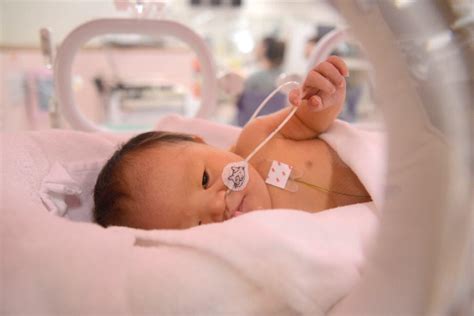 What is NICU? Definition, People and Equipment. – NeoPedEdu