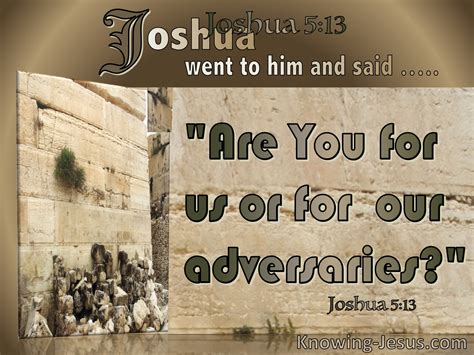 What Does Joshua 5:13 Mean?