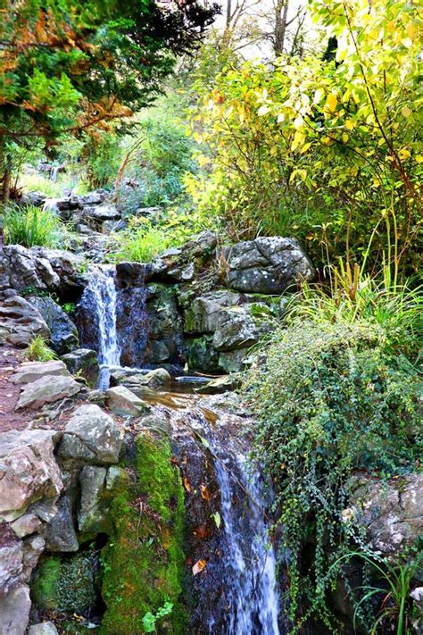 A Small Waterfall in a Rock Garden. Stock Photo - Image of background, botanical: 199967174