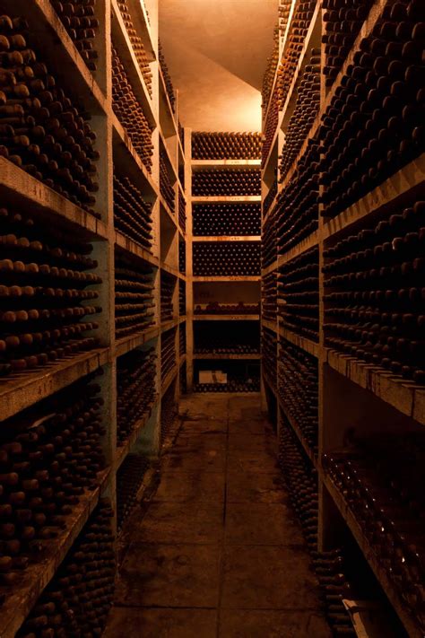 The wine cellar | Palace hotel, Historic hotels, Hotel