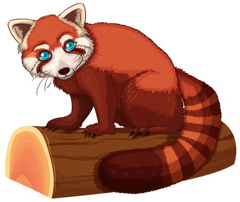 Red panda 418882 Vector Art at Vecteezy