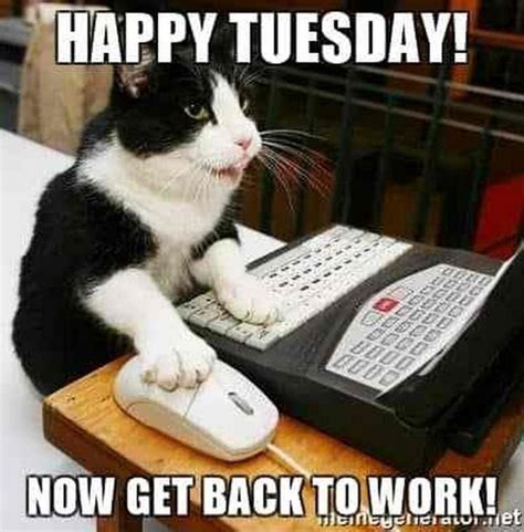 101 Funny Tuesday Memes When You're Happy You Made It | Work memes, Happy tuesday meme, Funny ...