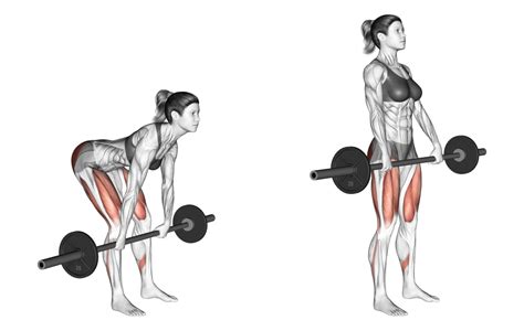 8 Best Types of Deadlift Variations (with Pictures!) - Inspire US