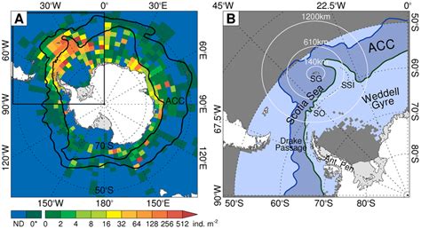 The distribution of Antarctic krill and the study area. (A) The ...