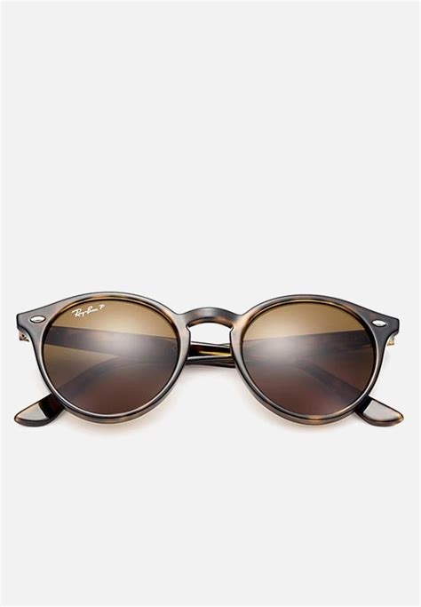 Ray-ban round polarized sunglasses 49mm - shiny dark havana Ray-Ban ...