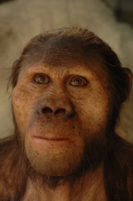 Hominid Reconstructions Are A Blast From The Past (16 pics)